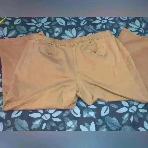 Avenue Stretch size 24 capri pants - Picture 8 of 9